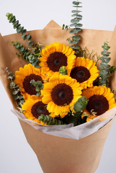 GOOD MORNING SUNSHINE