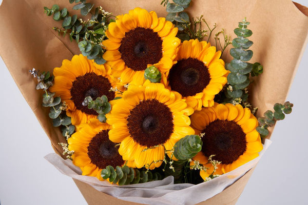 GOOD MORNING SUNSHINE